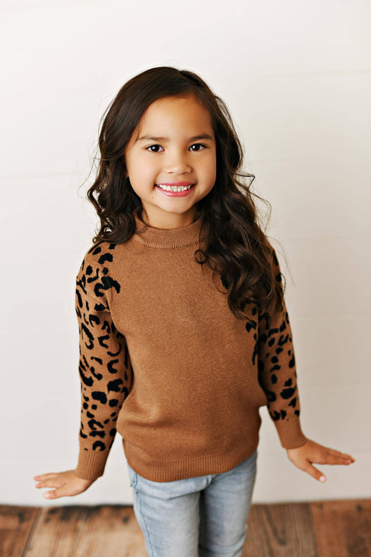 Brown Leopard Print Crew Neck Fall Winter Sweater